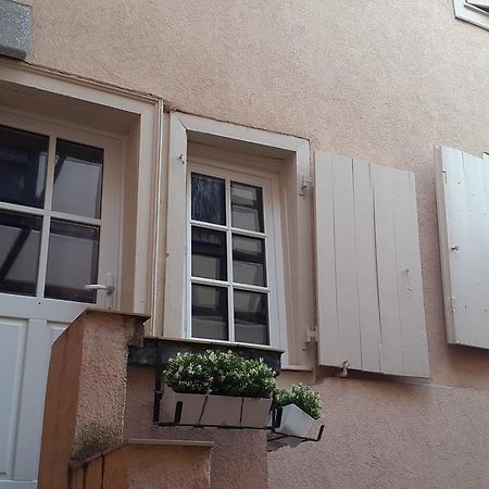 Colmar City Center Little Venise - Gite De Louise - المظهر الخارجي الصورة
